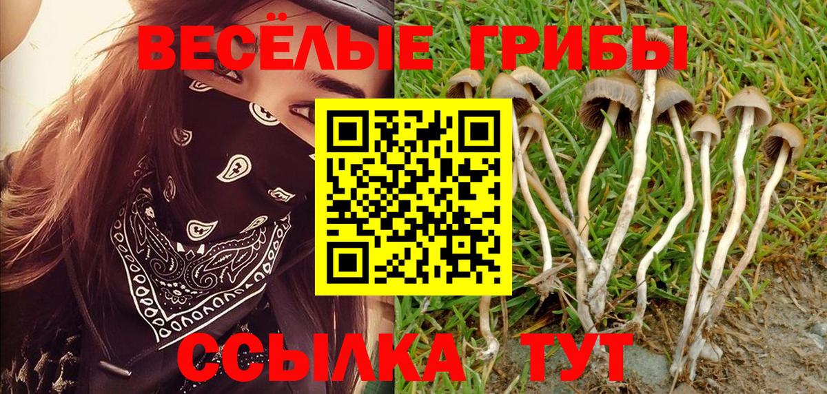 Псилоцибиновые грибы MAGIC MUSHROOMS Нарткала